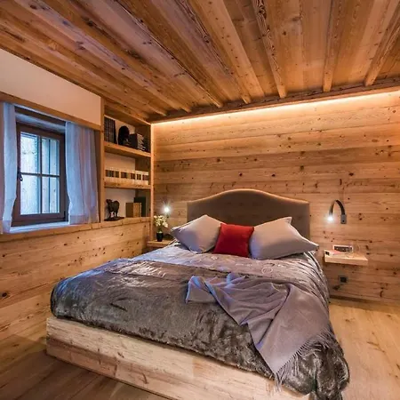 Chalet The Magnificent Chalet With Facilities St. Moritz