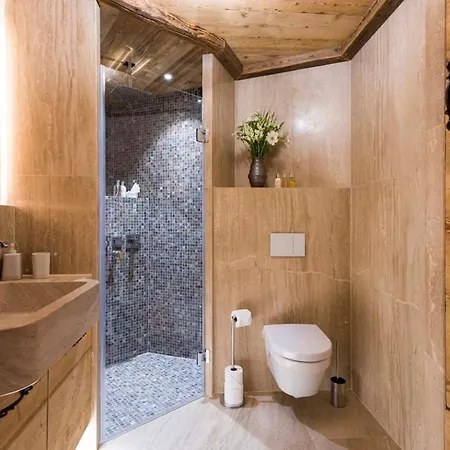The Magnificent Chalet With Facilities Chalet St Moritz
